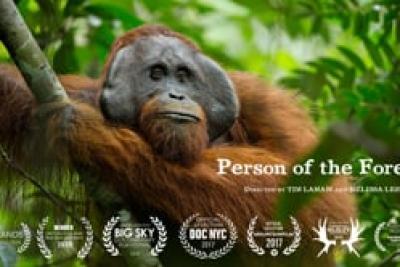 Person of the Forest - Lire la vidéo 1 sur 3, fenêtre modale